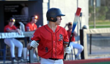 Legion Baseball: Alexandria Post 87 punches ticket to state with runner-up finish in sub-state 12 - Alexandria Echo Press