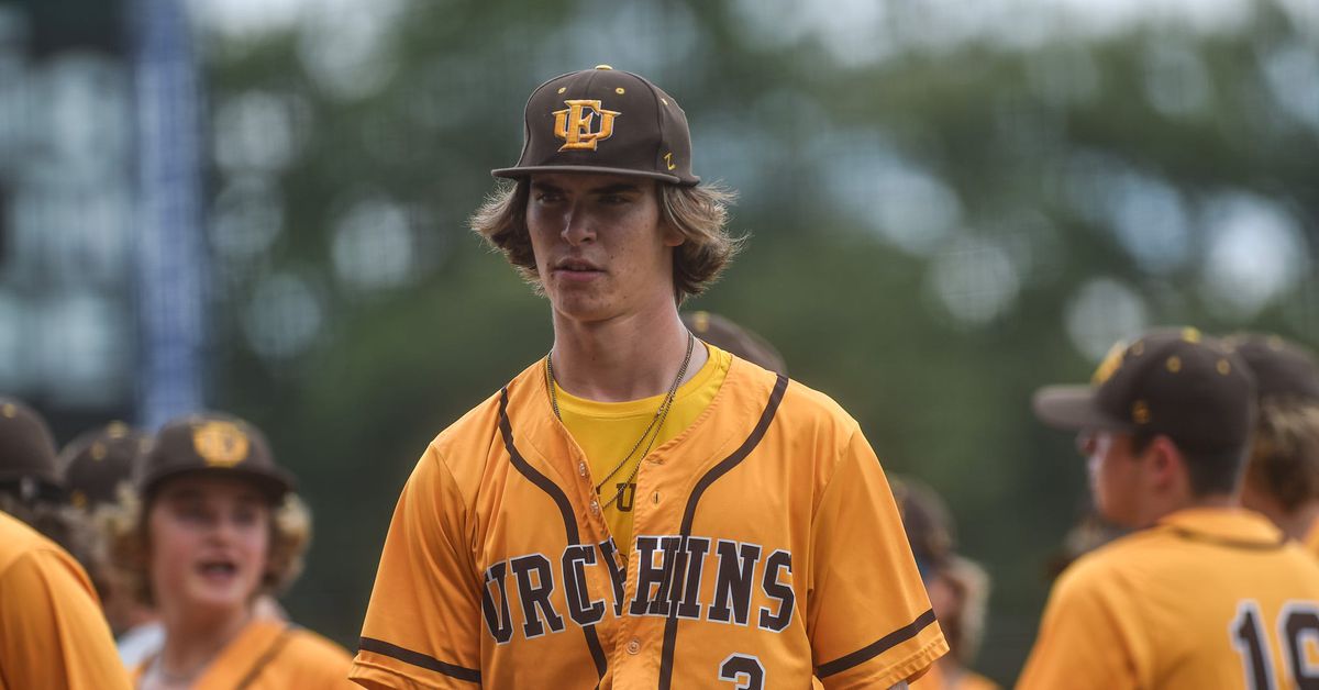 MLB Draft: Is Landon Harmon the next Travis Sykora for the Washington Nationals