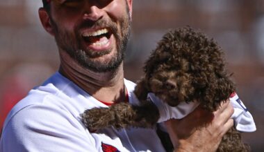 Breaking down the St. Louis Cardinals 2025 draft, using Viva El Birdos top comments