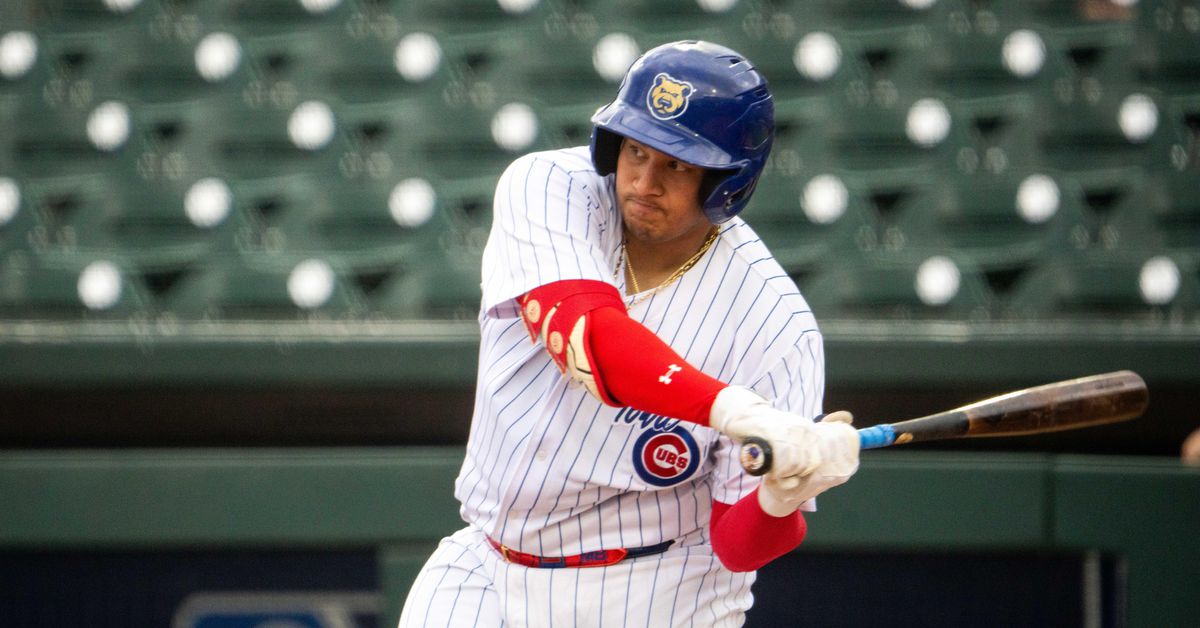 Chicago Cubs Minor League Wrap: July 24