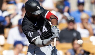 White Sox Minor League Update: July 30, 2025