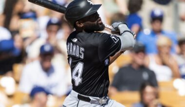 White Sox Minor League Update: July 9, 2025