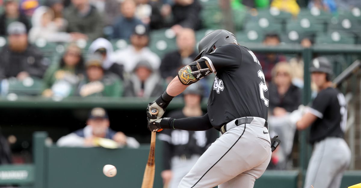 Chicago White Sox Minor League Player of the Month (June 2025): Brooks Baldwin