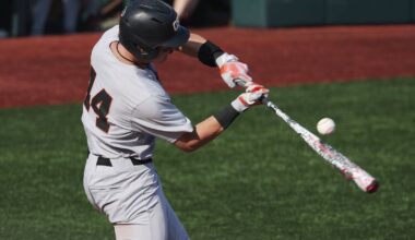 Tigers Add Two Power Bats