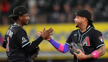 Pitching and Defense Back the Dbacks! Dbacks 4, White Sox 1