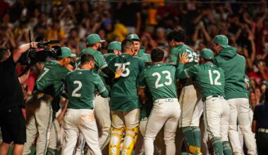 The 2025 Boston Red Sox need a nickname