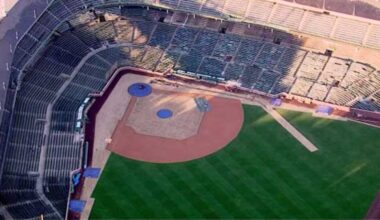 Chicago Cubs fans can take home Wrigley Field sod for free