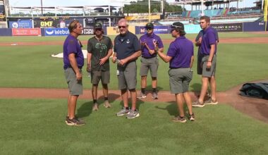 Rays grounds crew adjusts to work outside instead of indoors at Tropicana Field