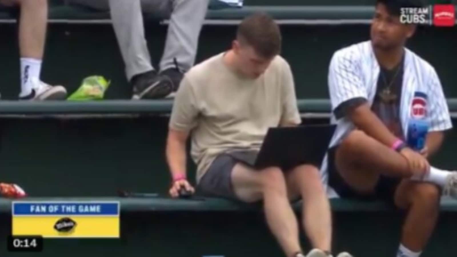 Cubs fan goes viral after working on laptop from during Brewers game - Watch