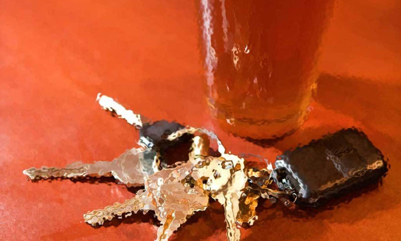 Brainerd and Baxter officers recognized at Twins game - Brainerd Dispatch