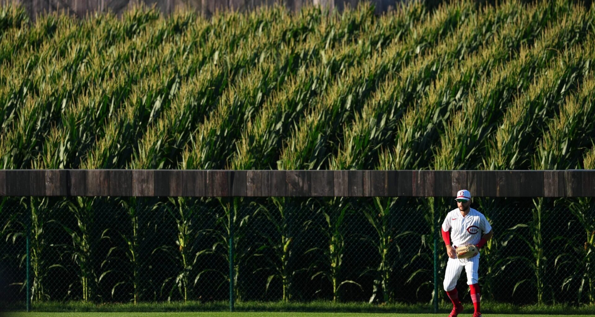 MLB Bringing Back Iconic Cornfield Stadium, Inviting MN Twins