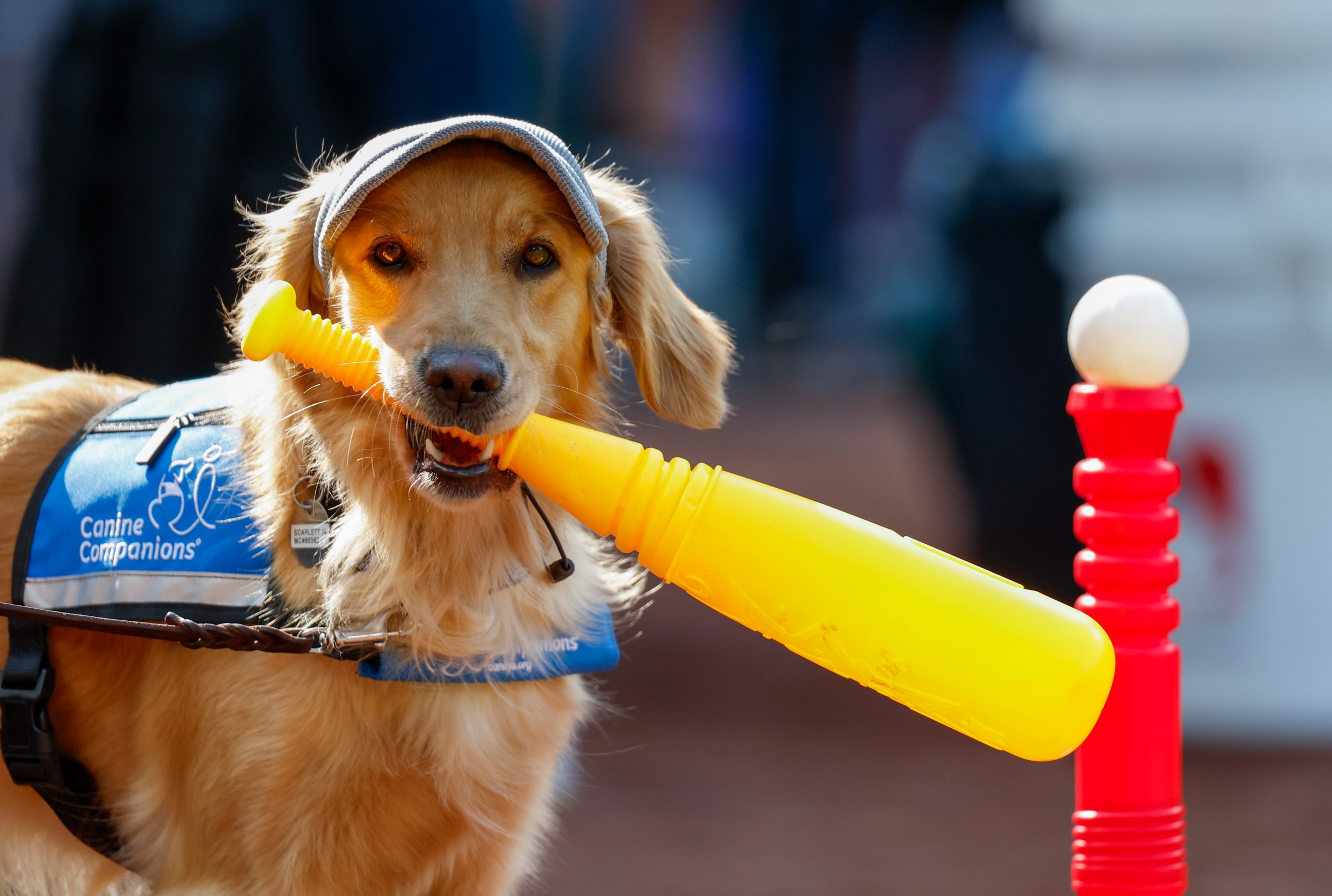 Mariners Game #133: Game Thread Two