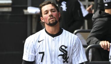 Chicago White Sox Minor League Update: August 1, 2025