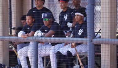 Yankees standouts from the FCL and DSL