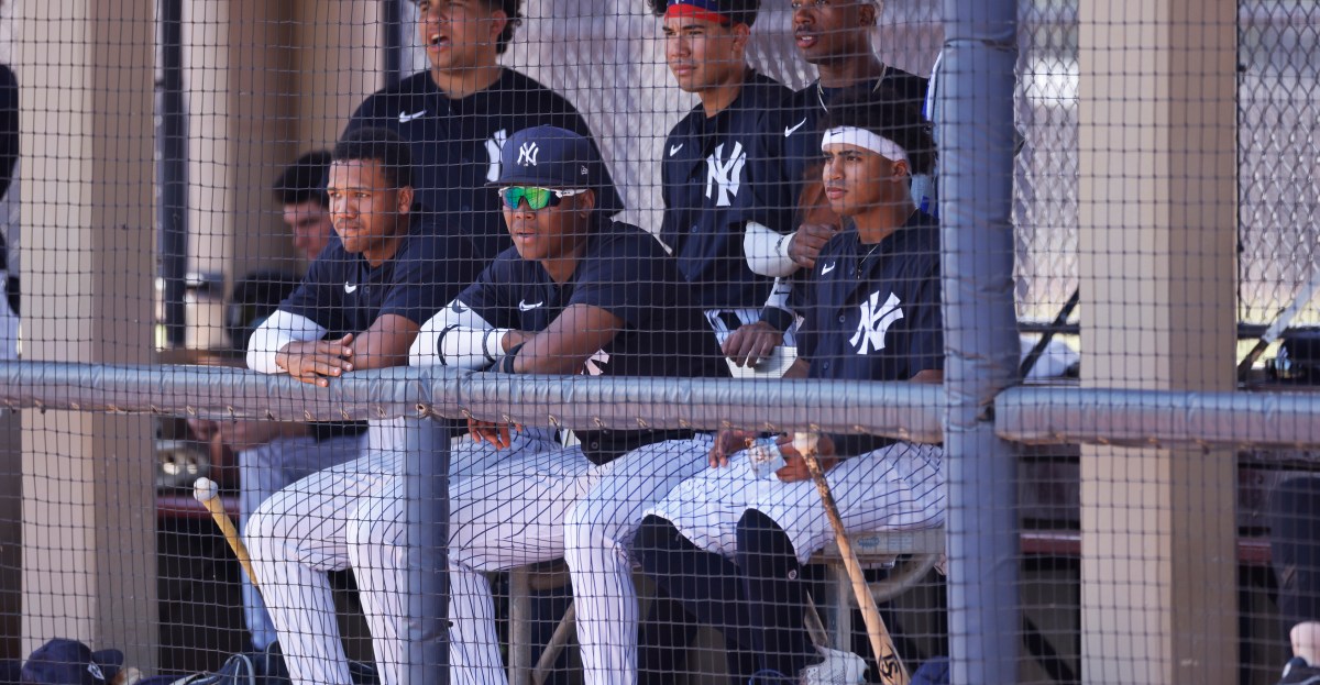 Yankees standouts from the FCL and DSL