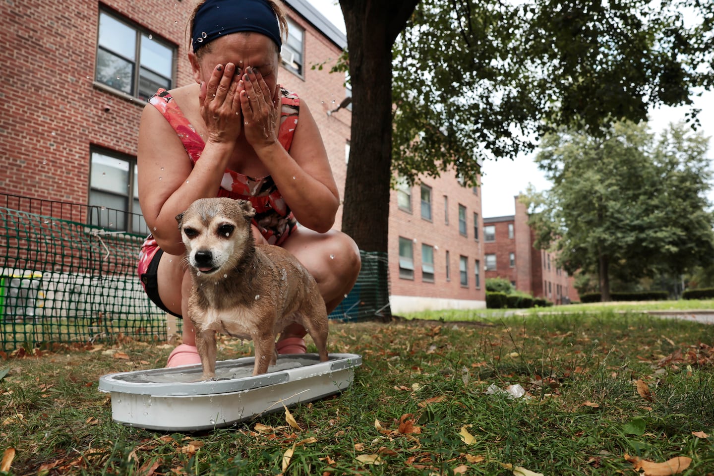 Maggie Galvis used a container of water to cool off her chihuahua, Maya, and herself outside her apartment in the Boston Housing Authority’s Bunker Hill Development in Charlestown on July 25.