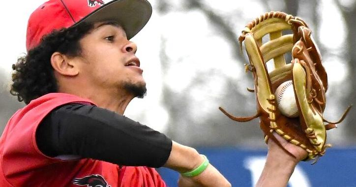 College baseball: 19 SCC graduated sophomores moving on to four-year schools | The Hawk Eye - Burlington, Iowa