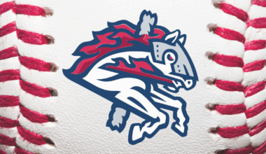 Tong Turns in Another Strong Start But Binghamton Shutout by Somerset | Sports