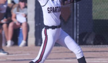 PREP BASEBALL AND SOFTBALL: Post-season honors for area teams | Sports