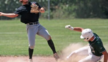 Utica Association loses to McFarland, secures wild card | Sports