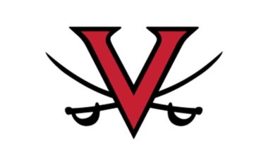 James Rae's walk-off single leads Verona to victory | Sports