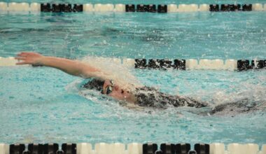 Tigers sending 17 2025 grads to college programs | Sports coverage for Fenton, Linden, Holly and Lake