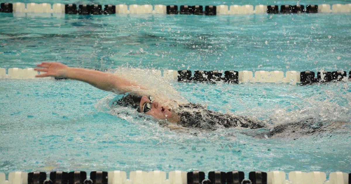 Tigers sending 17 2025 grads to college programs | Sports coverage for Fenton, Linden, Holly and Lake