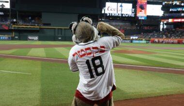 Hundreds of Jews find warm welcome at D-Backs’ game | Community