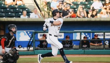 Newest baseball draft class powers Charleston RiverDogs