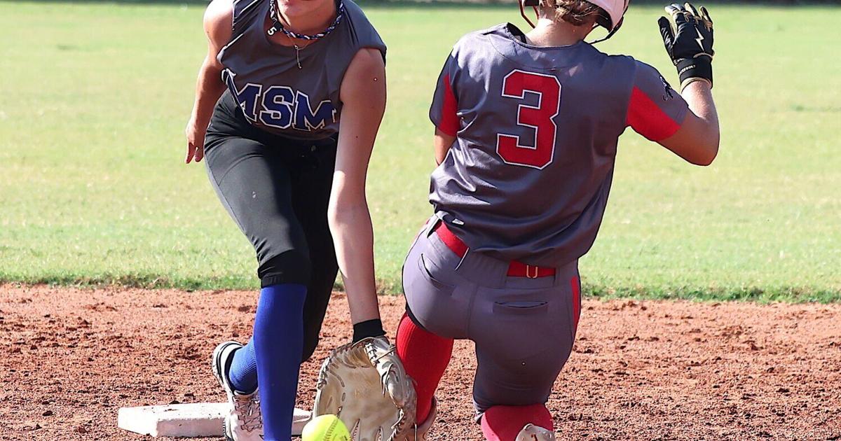 Lady Panthers end 4-game skid | Local Sports