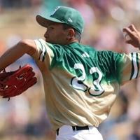 Taiwan top Nevada to win Little League World Series | National News