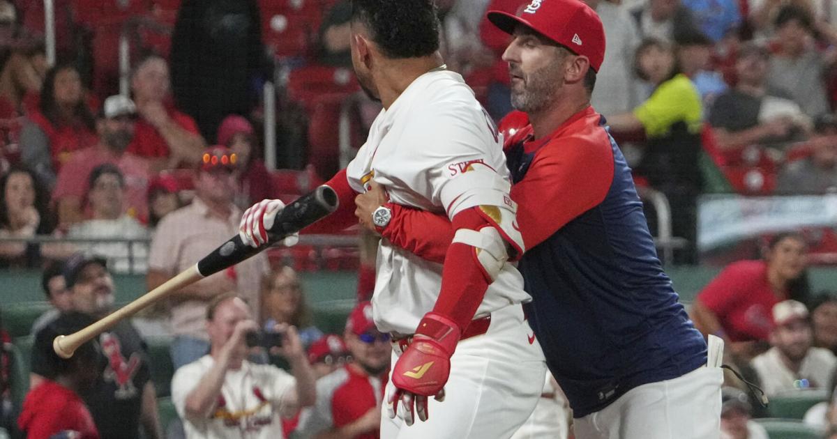 Cardinals' Willson Contreras gets 6-game suspension for on-field tirade and plans to appeal | National Sports