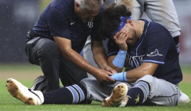 Rays lose 3 players to injury, fall to Yankees after long rain delay - Tampa Bay Times