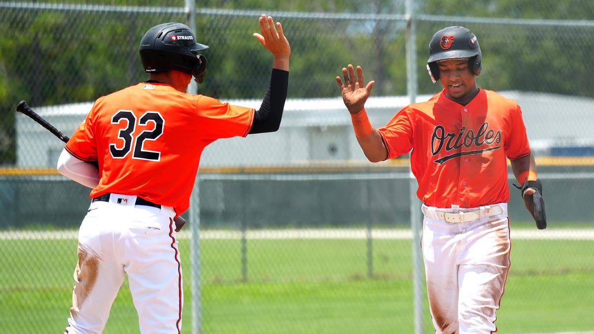 Baltimore Orioles minor leaguer, former Shorebird dies at just age 19