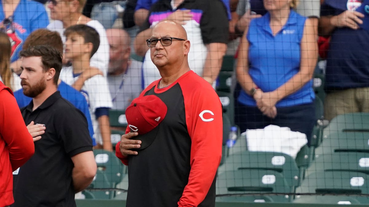 Can Reds playoff run help save Cincinnati's reputation after brawl?