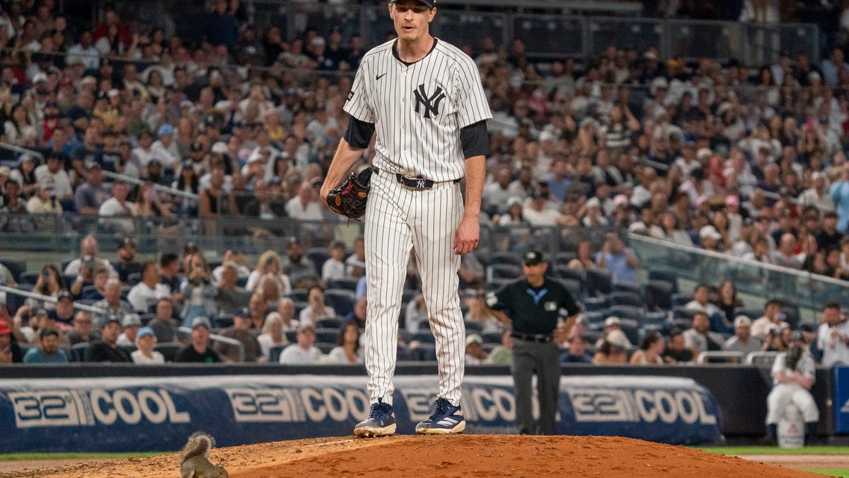 Squirrel interrupts play at Yankee Stadium