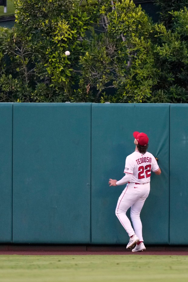 Angels center fielder Bryce Teodosio watches a ball hit by...