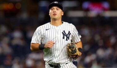 Yankees top Nats, but Volpe hitless in return to lineup – Trentonian