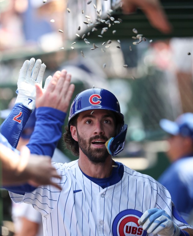 Chicago Cubs shortstop Dansby Swanson gets a sunflower shower while celebrating his home run against the Cincinnati Reds in the seventh inning Wednesday, Aug. 6, 2025, at Wrigley Field. (Brian Cassella/Chicago Tribune)