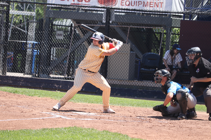 Lethbridge Herald Twitter