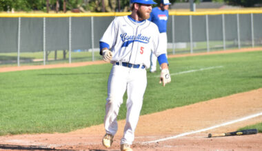 No. 1 Cubs hope for top finish at state | News, Sports, Jobs