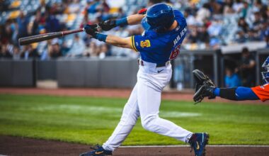 Minnesota Twins Minor League Hitters of the Month – July - Minor Leagues