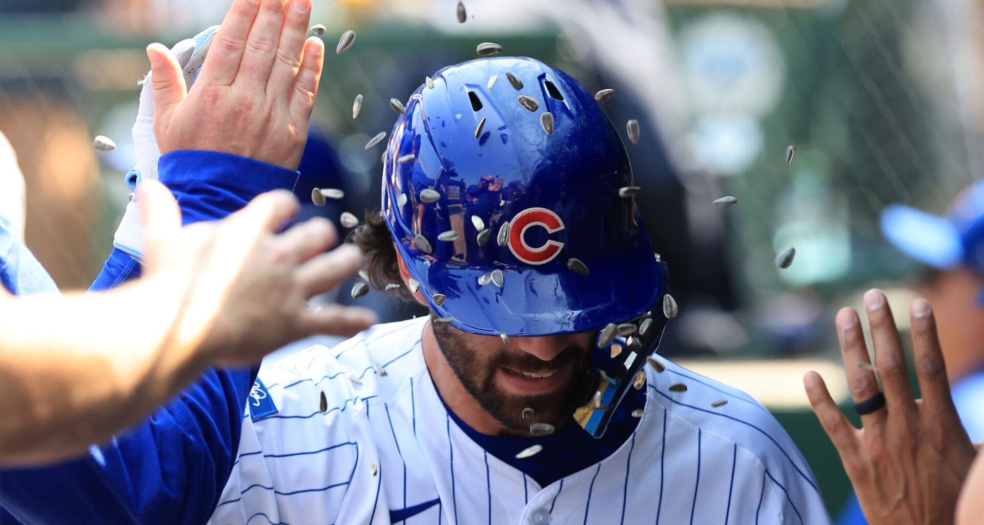 Cincinnati Reds v Chicago Cubs