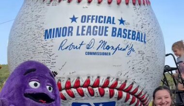 Watch: Giant baseball with 6,750 signatures breaks world record