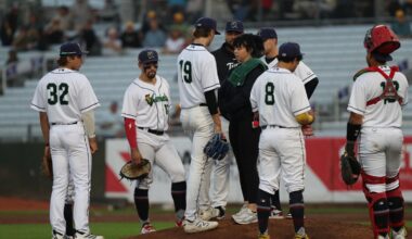 Twins Minor League Report (8/30): Dasan Hill Sets Career-High Strikeouts, Leaves Game with Apparent Injury - Minor Leagues
