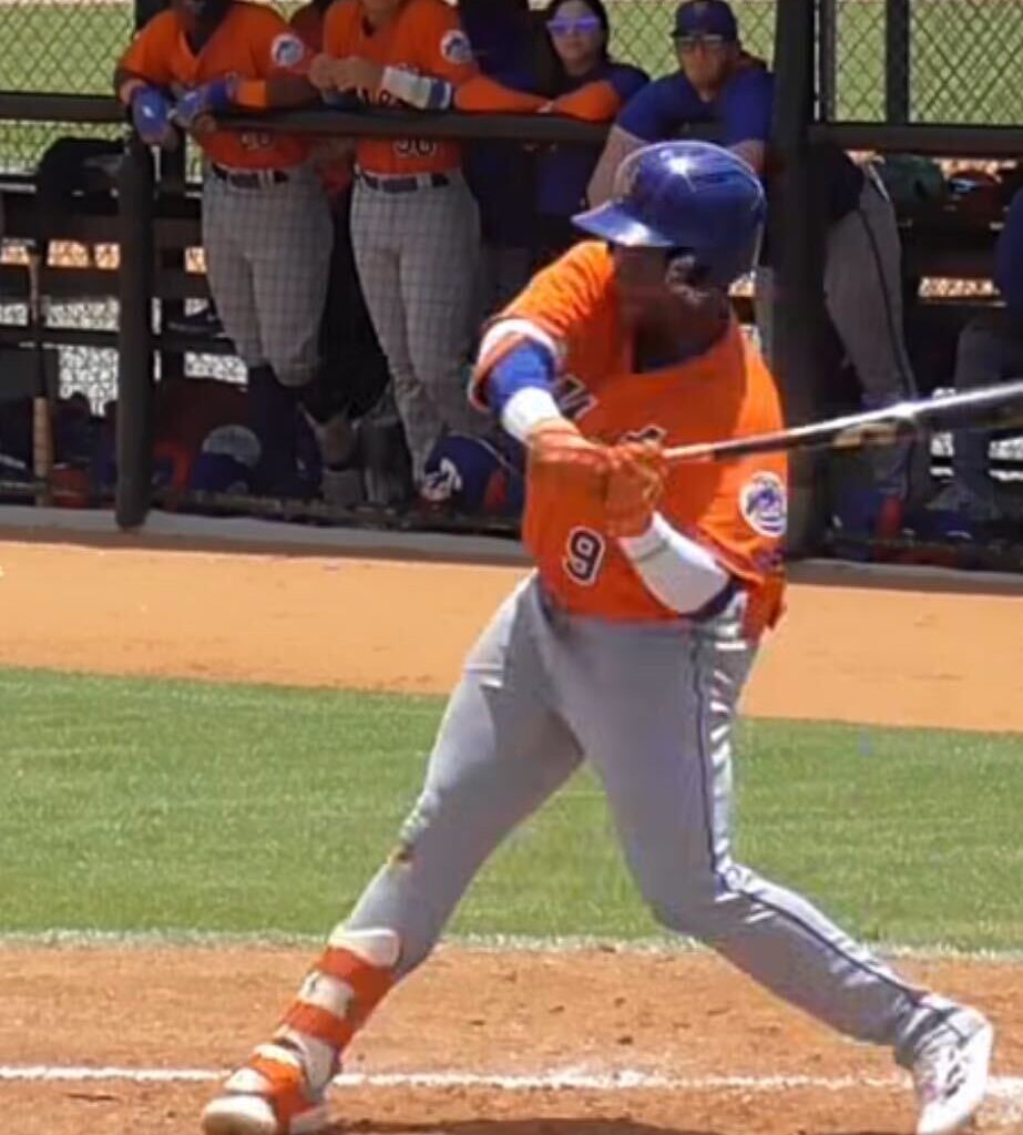 Minors Weekly Report: Elian Peña Finishes First Pro Season