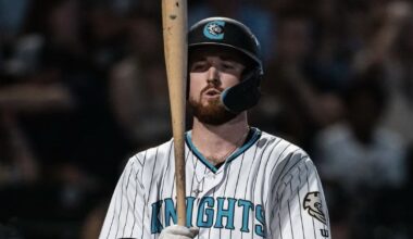 Chicago White Sox Minor League Update: August 3, 2025