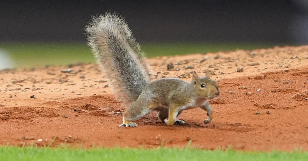 Wrongfully Deported Maryland Dad Released From Detention - The Daily Beast