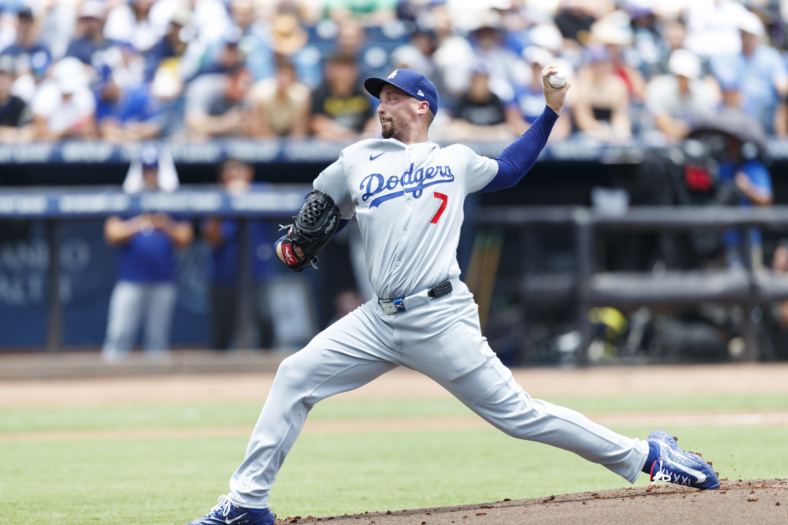 MLB: Los Angeles Dodgers at Tampa Bay Rays