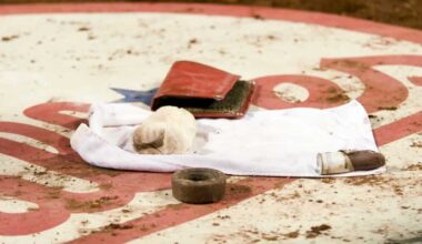 Phillies Batting Logo